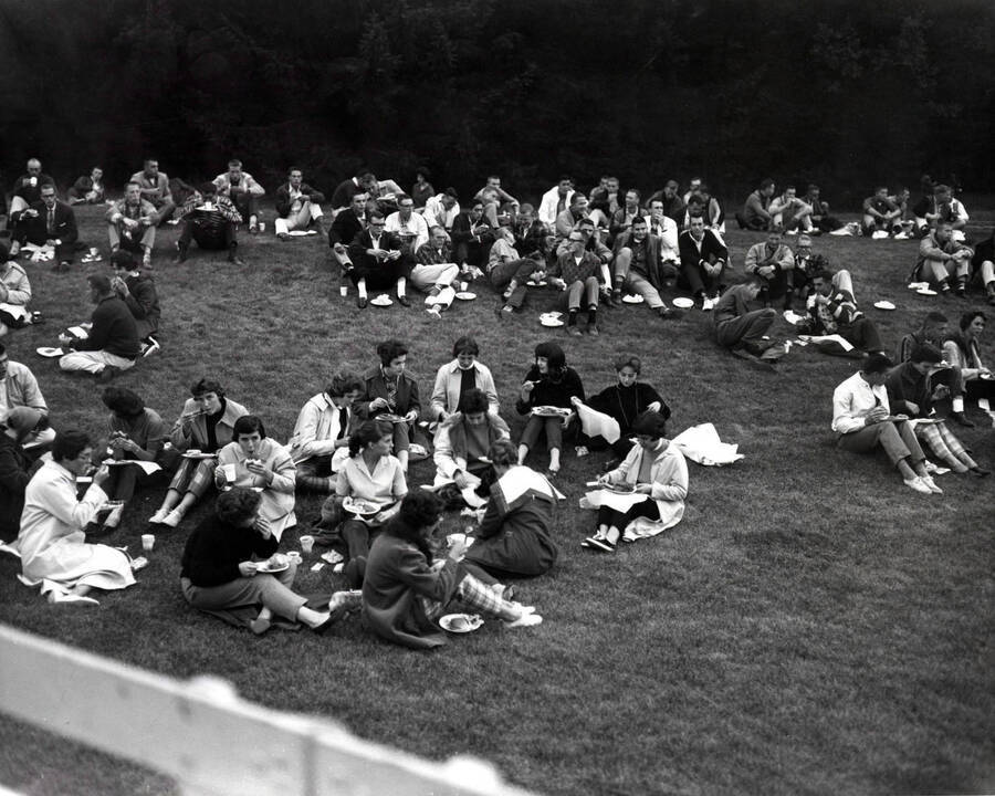 Students sit on the grass and eat their food at the all campus barbecue, located in the old arboretum.