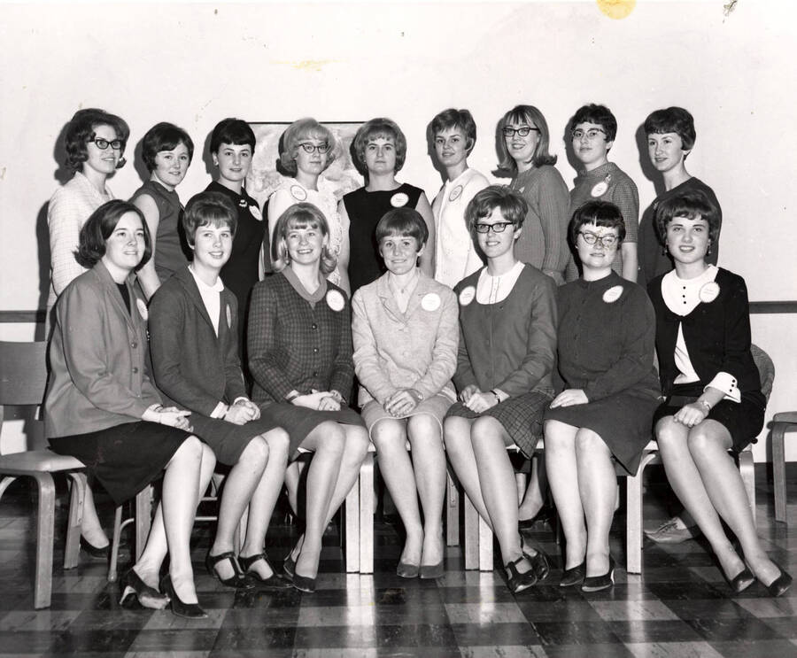Recipients of Mary Hall Niccolls scholarships from south Idaho pose for a group photo. Individuals identified as listed. Front Row (left to right): Diane Amonson, Linda Ward, Donna Stevens, Becky Sue Butler, Valarie Koestes. Back Row (left to right): Susan Vogel, Cathy Manning, Linda Crenshaw, Sharon Anderson, Nancy Haney, Sally Harris, Sharon Bean, LuAnn York, Carol Robertson.