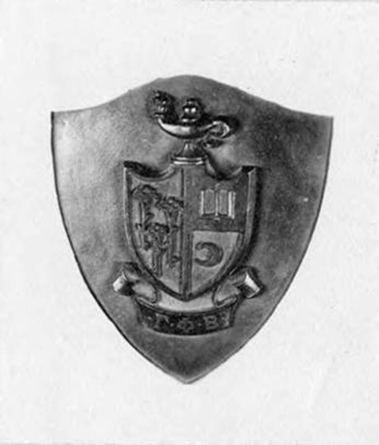 Photo of worn Gamma Phi Beta shield on a pin.
