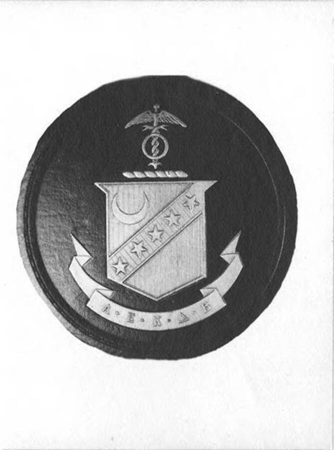 A leather patch of the Kappa Sigma shield.