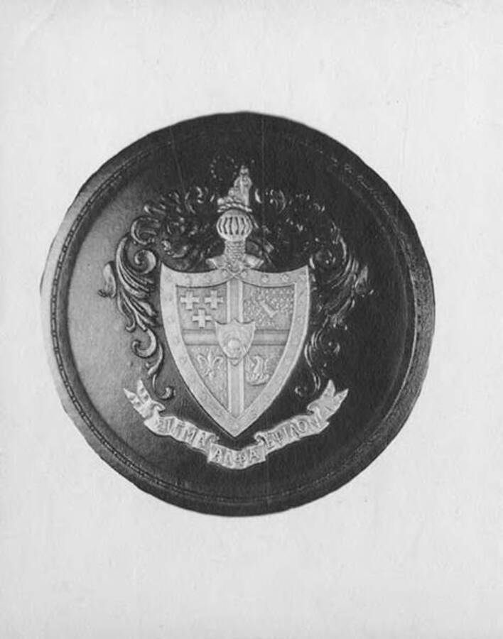 Photograph of a leather patch of Sigma Alpha Epsilon shield.
