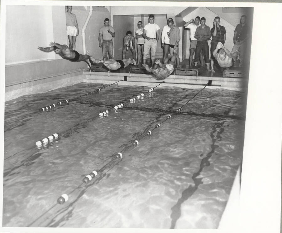 Four 1961 Idaho swimmers dive into the pool during a swim meet in the basement of Memorial Gymnasium.