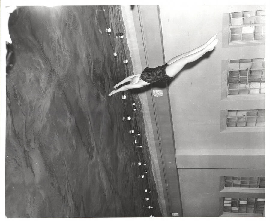 An unidentified women's swimmer dives into the pool during a 1960's meet.
