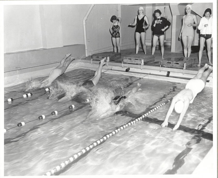 Four Idaho women's swimmers leap into Memorial Gymnasium's pool during a 1961 meet.