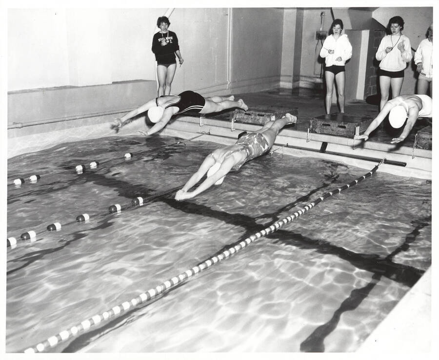Women's swimmers dive into the pool during a meet.