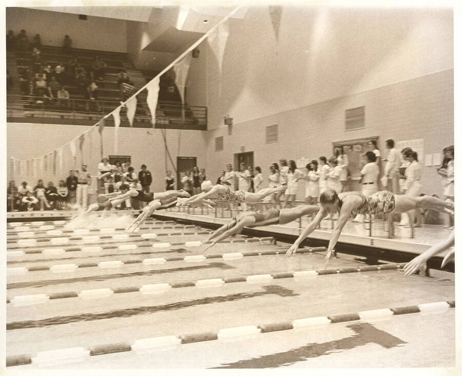 Several women's swimmers plunge into the Swim Center pool during the AIAW Championships.