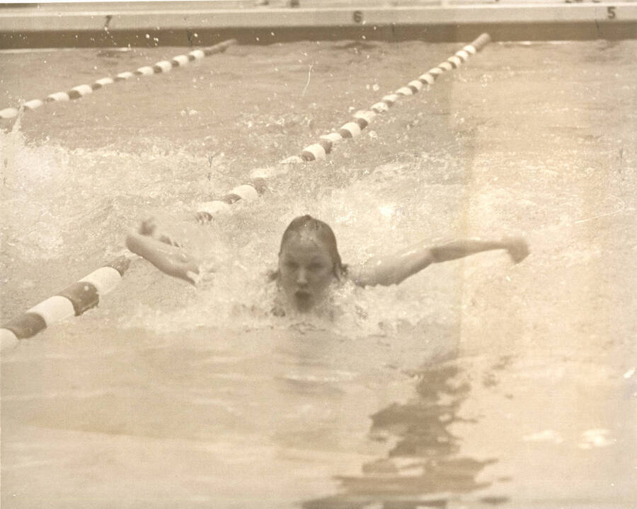 An unnamed swimmer uses the butterfuly technique during the AIAW National Championships in Idaho's Swim Center.
