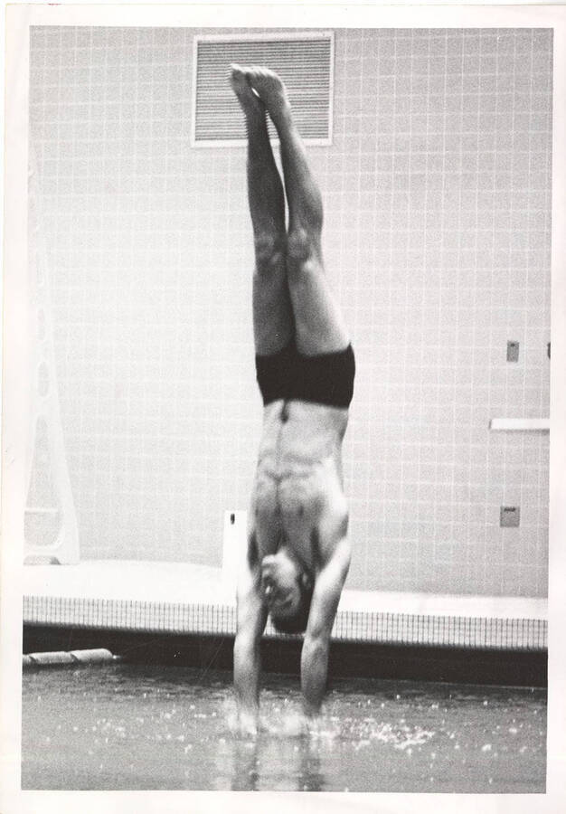 An unnamed Idaho men's diver pictured as his hands break the plane of the water.