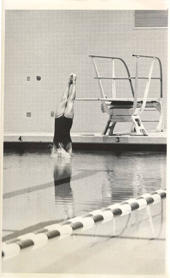 An unknown women's diver's head plunges into the water during a practice in the Swim Center.