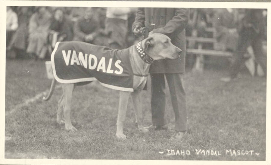 A member of the pep squad stands with the Vandal mascot, Empire the dog.