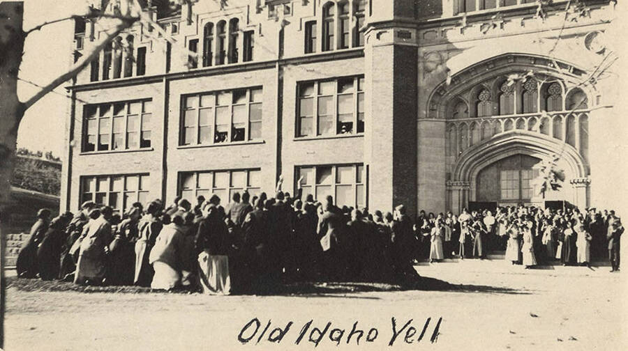 Students participate in the Idaho Stunt outside of the Administration Building as part of the Harvard Yell Contest.