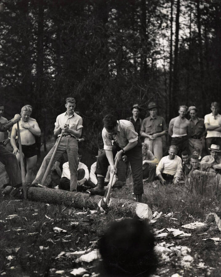 Students participate in a wood-chopping contest during the Associated Foresters barbeque.