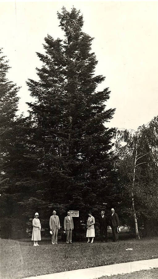 Members of the class of 1901 stand beside a large pine tree on the Administration Lawn during the Class of 1901 reunion.