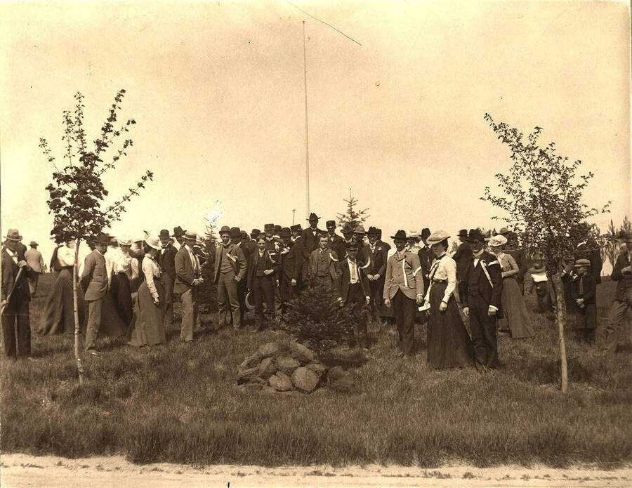 The Class of 1901 plants a tree on Arbor Day, 1900. Decoration of this tree around the holidays later became a campus tradition.