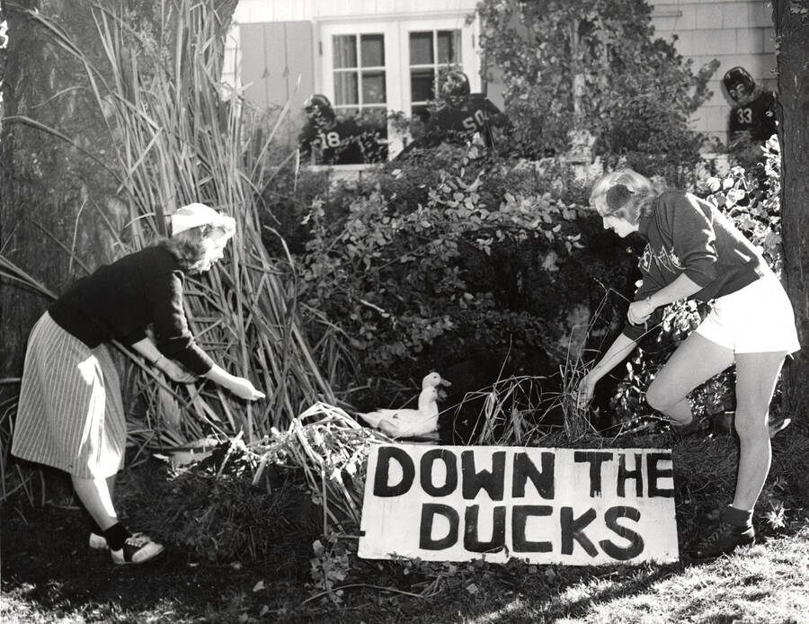 Alpha Chi Omega's house decorations show a sign that reads 'Down the Ducks' in front of a duck pond. Two women can be seen feeding the ducks in the pond. Pictured left to right: Betty Lou Loman and Carol Shaffer.