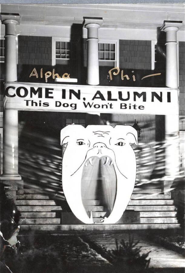 Alpha Phi's house decorations for Homecoming featured a growling dogs head banner with a banner that reads 'Come in, Alumni. This dog won't bite.'