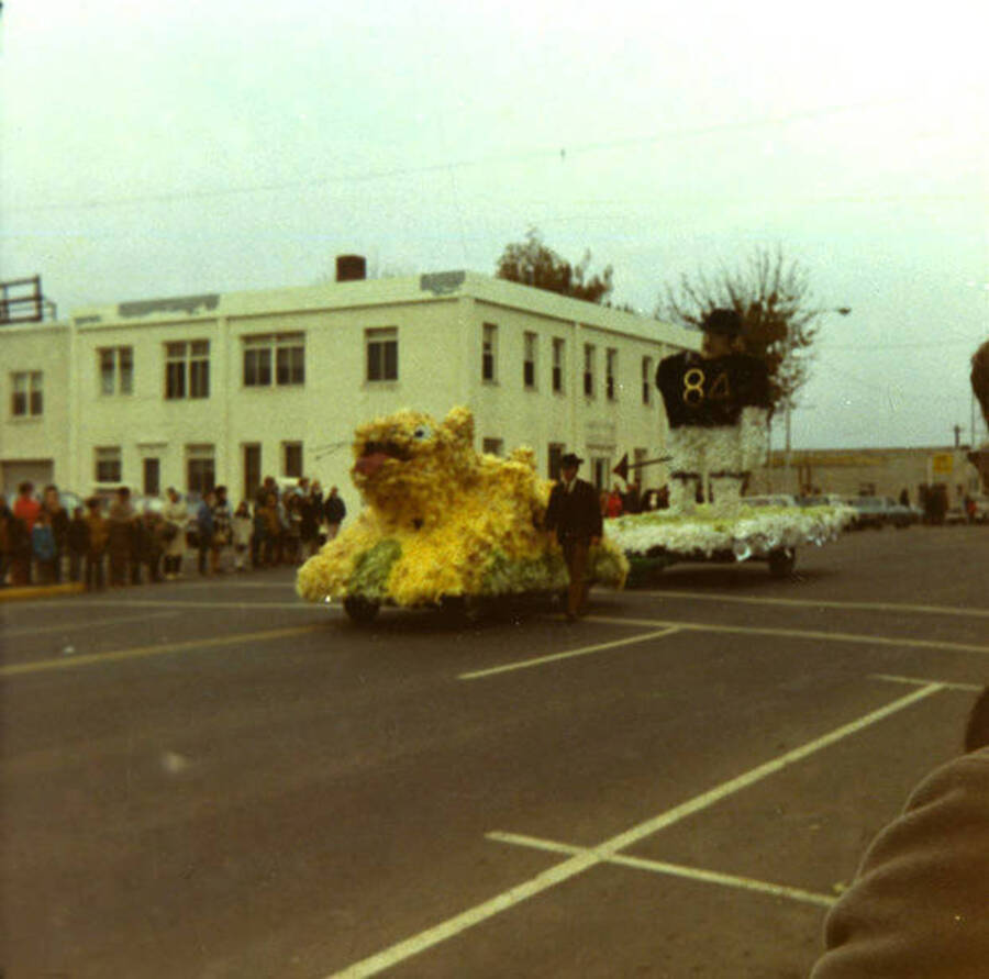 A man walks beside an unidentified float featuring a wild cat during the Homecoming parade.