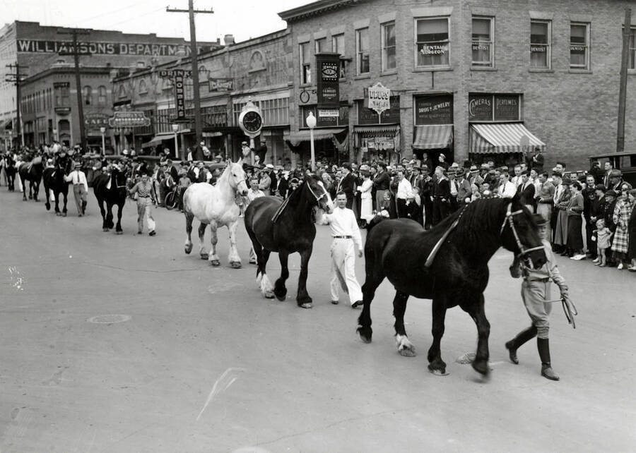 Handlers lead horses down the street for the Little International Agriculture Show as spectators watch from the sidewalks.