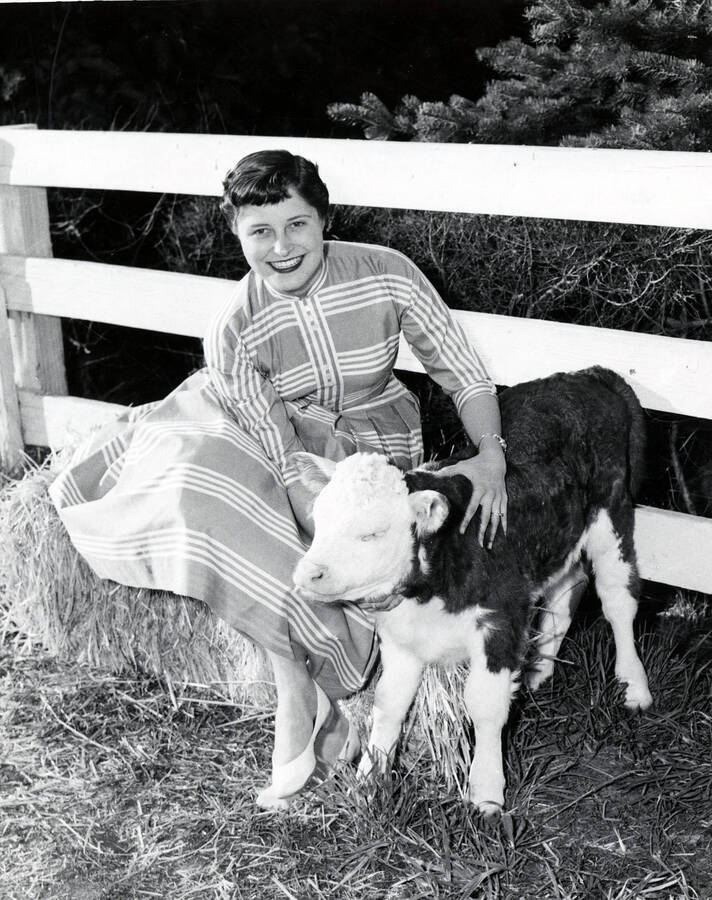 Arlene Book, Little International Queen, poses with a calf during the Little International Agriculture Show.