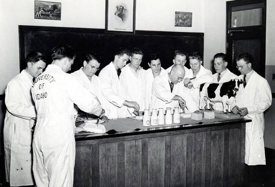 A group of men stand around a table judging dairy products submitted for Idaho's Little International Agriculture Show.