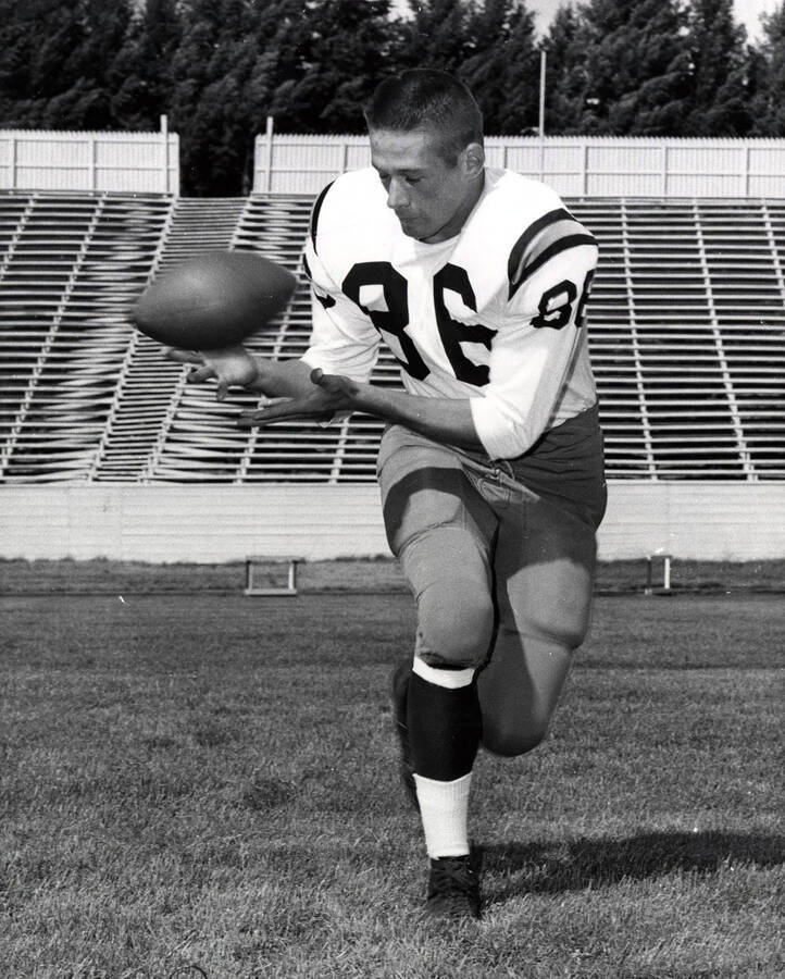 Football player Bill Hill (guard) catching the ball at the University of Idaho.