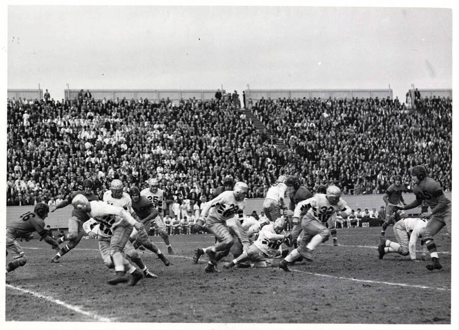 A large crowd watches as Idaho takes on North Dakota during a football game that ended with a score of 27-0.