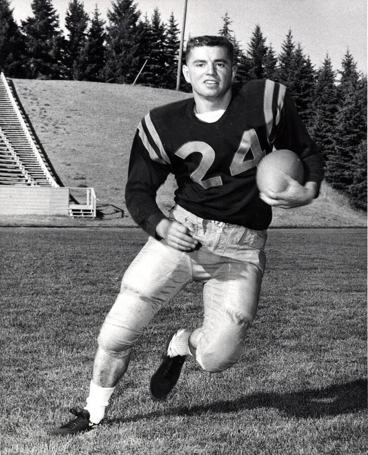Gene Bates, football halfback for the University of Idaho, mid run.