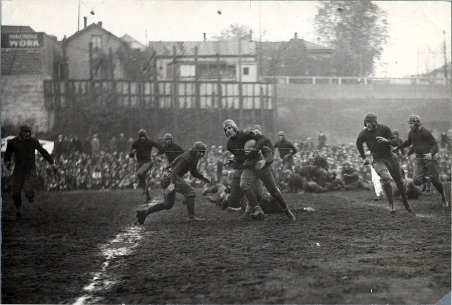 Photograph of a University of Idaho football game in action.