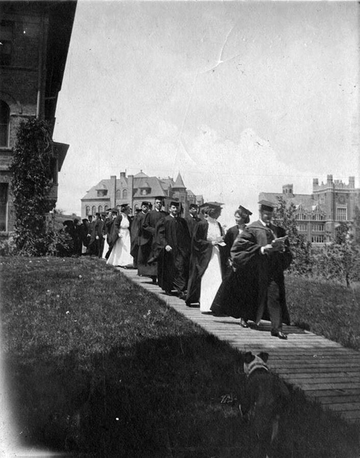 A procession of graduates make their way down the boardwalk that used to line the Administration lawn. A dog can be seen in the foreground to the left of the procession.