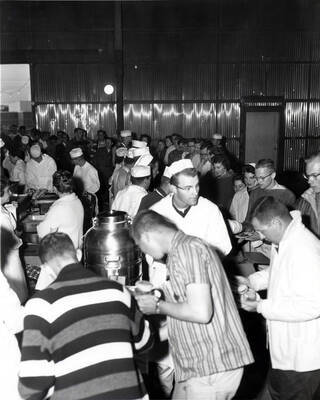Students go through the line grabbing food with cooks assisting them at the all campus barbecue, located in the old arboretum.