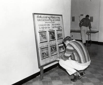 Students look at the College of Forestry display in the Lobby and Information Center during the open house after completion of the third addition to the Student Union Building.
