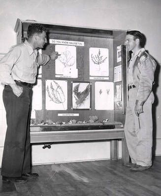 University of Idaho students George Zappettini and Howard Morton work on halogen research.