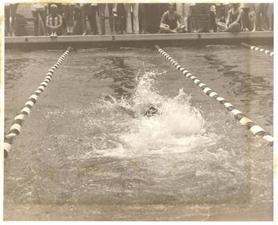 A swimmer strokes the water during the AIAW Championships in Idaho's Swim Center.
