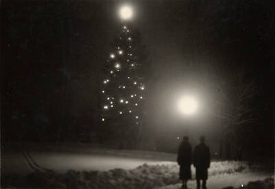 Two people stand and view a decorated pine tree near Hello Walk.