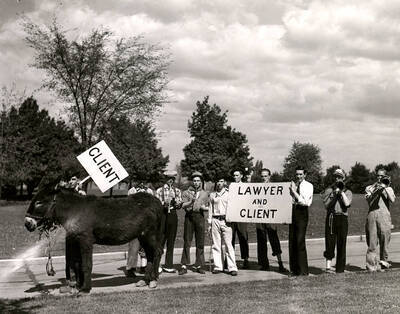 A student holds a sign reading 'client' next to a donkey while two other boys hold a sign reading 'lawyer and client' during Idaho's Little International Agriculture Show.