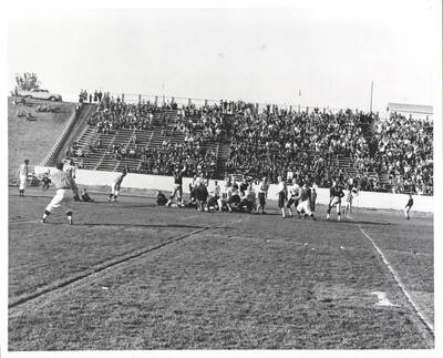 Idaho players and fans celebrate after a rush turns into a touchdown.