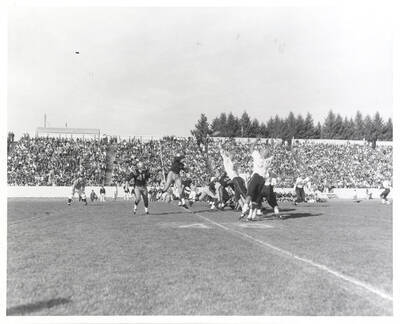 Idaho's quarterback leaps and throws a pass over two Spartan defenders.
