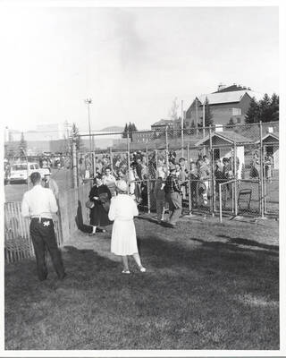 A view from behind, as two student-workers sell programs for the upcoming football game.