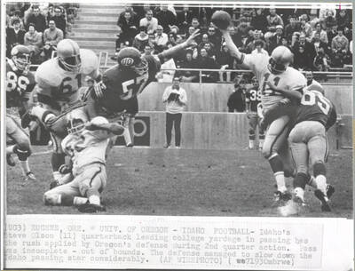 Photograph shows Olson being tackled as he attempts to release a pass. Caption reads: 'Eugene, Ore. *Univ. of Oregon - Idaho football - Idaho's Steve Olson (11) quarterback leading college yardage in passing has the rush applied by Oregon's defense during the 2nd quarter action. Pass was incomplete - out of bounds. The defense managed to slow down the Idaho passing star considerably. (AP WIREPHOTO)'