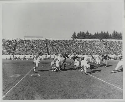 Washington State's quarterback pump-fakes on the run.