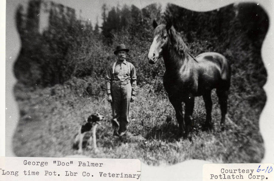 George 'Doc' Palmer, a PLC veterinary, standing with a dog and a horse.