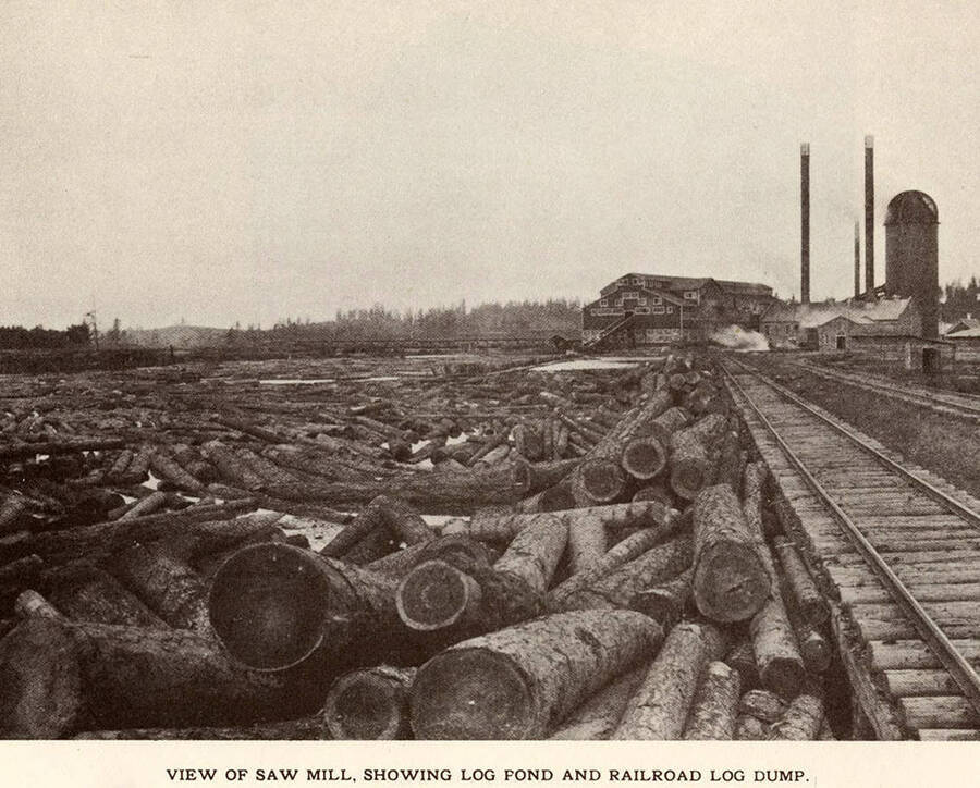 A full log pond in front of the saw mill and a railroad log dump.