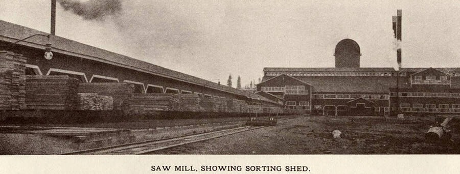A photograph of the sorting shed next to the sawmill