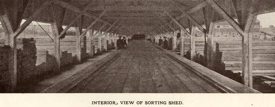 The interior of the sorting shed with multiple workers.
