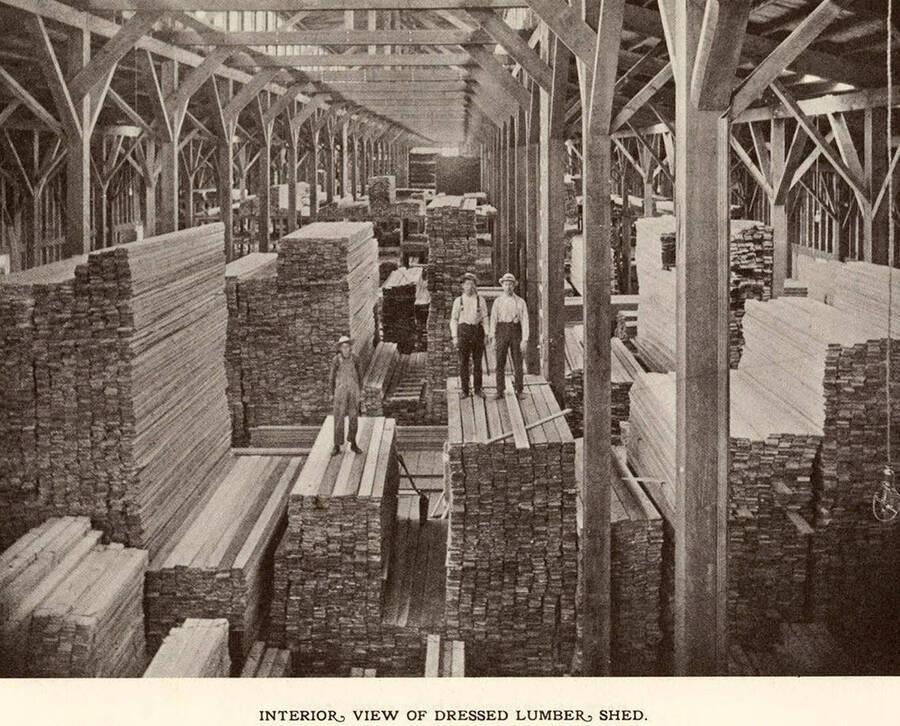 Workers pose on top of massive lumber stacks in the interior view of dressed lumber shed.