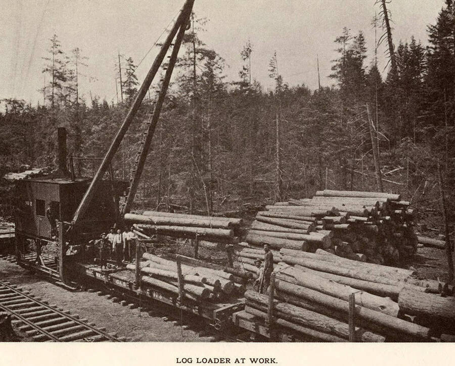 A log loader lifting the logs to and from the train cars.