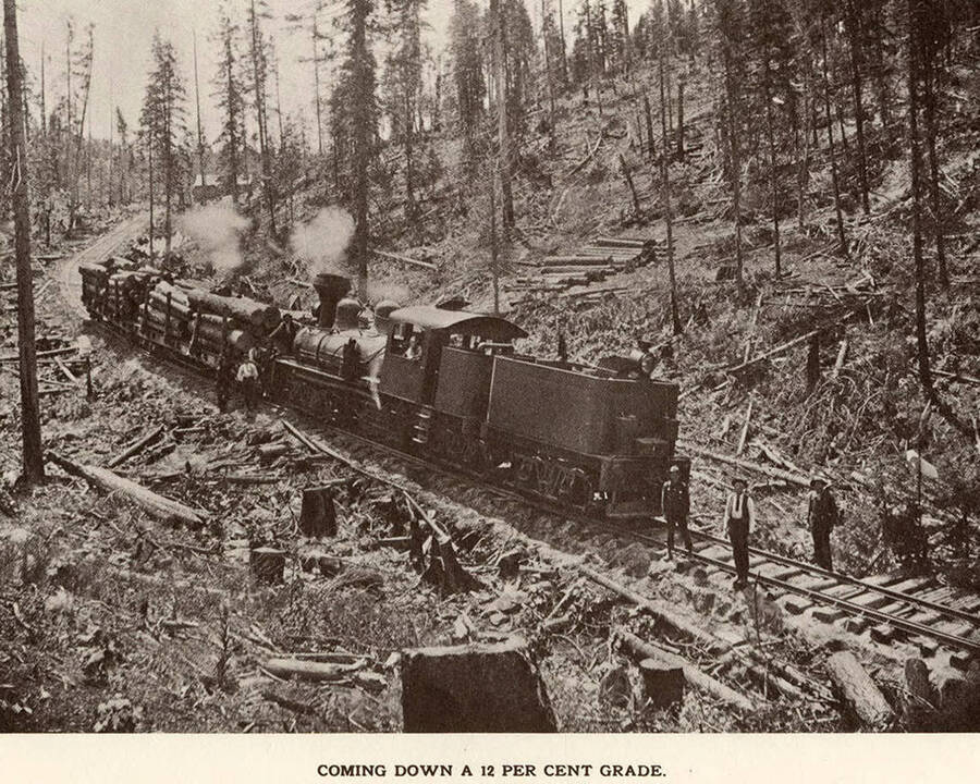 A locomotive with several cars full of logs traveling down a twelve percent grade.