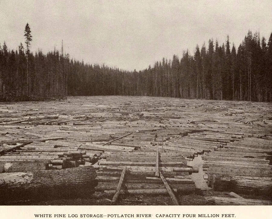 A photograph taken on the Potlatch River of the white pine log storage area that had a capacity of four million feet.