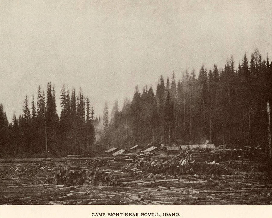 A photograph of camp eight near Bovill, Idaho.