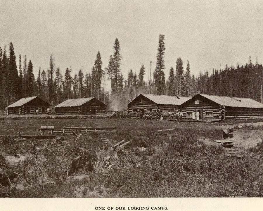 One of the logging camps for the Potlatch Lumber Company.